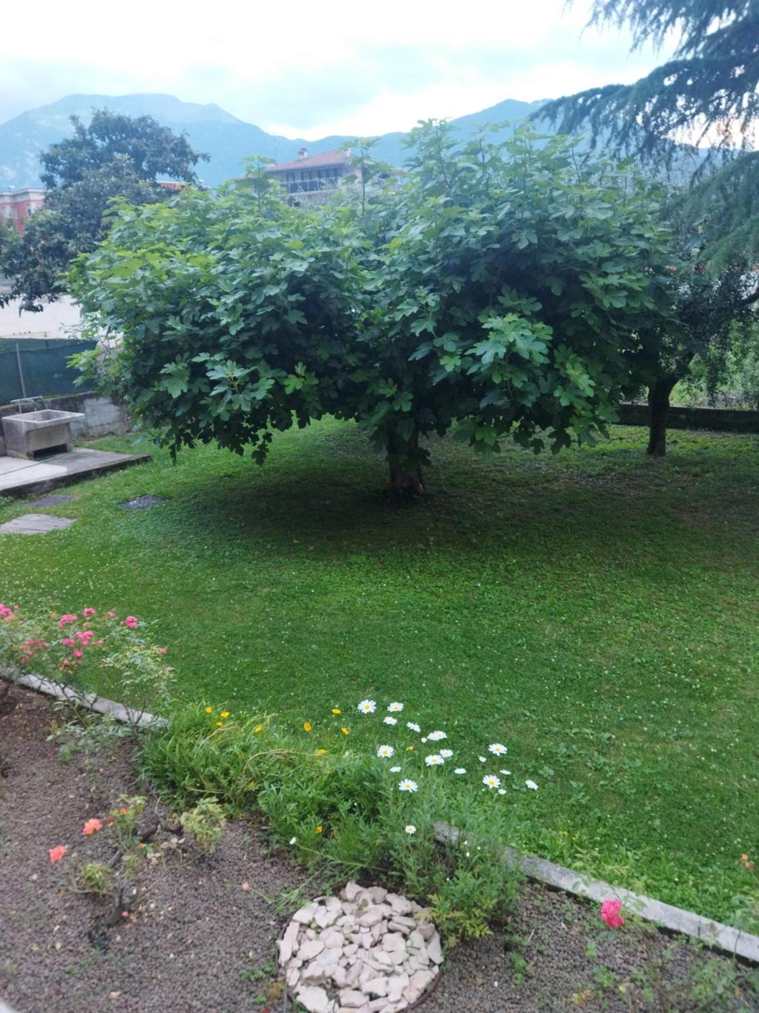 Rose Garden House Wi-Fi Apartment Riva del Garda Bagian luar foto